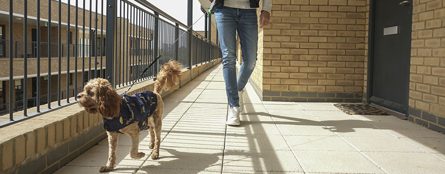 Keep Your Commercial Property Picture Perfect AND Pet-Friendly