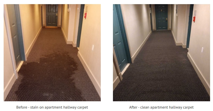 Buswell-Bennett-Carpet-Before-After